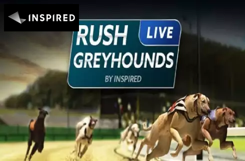 Rush Greyhounds Live